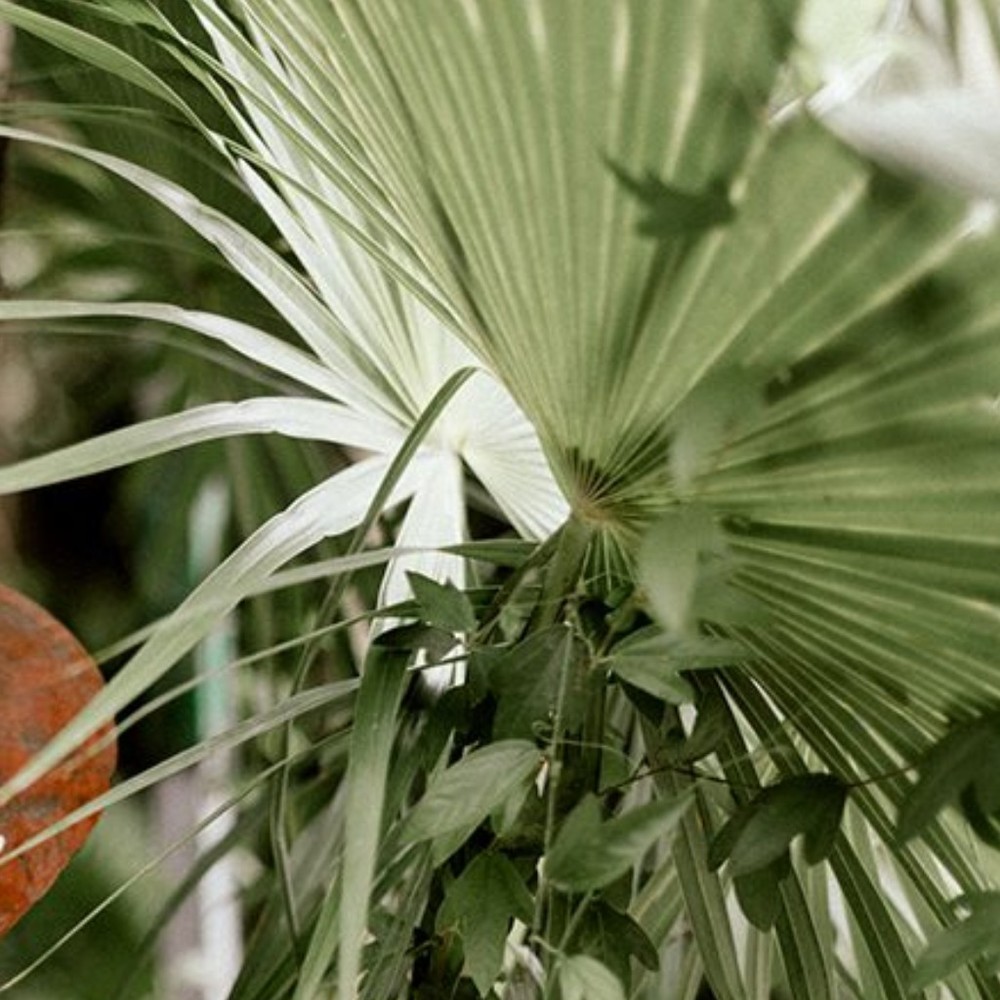 Meet your Posher, Anita